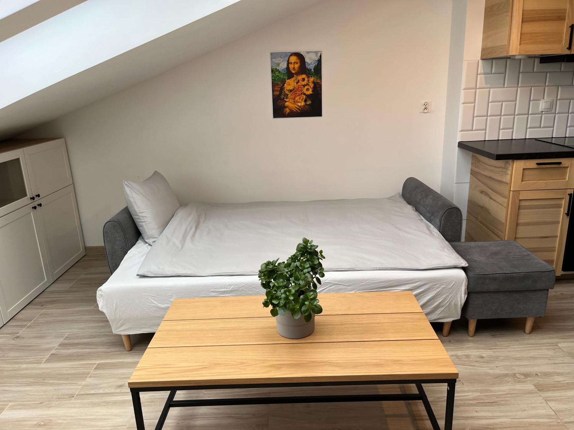 Feelhome Apartment With Kitchen Cracovie Extérieur photo