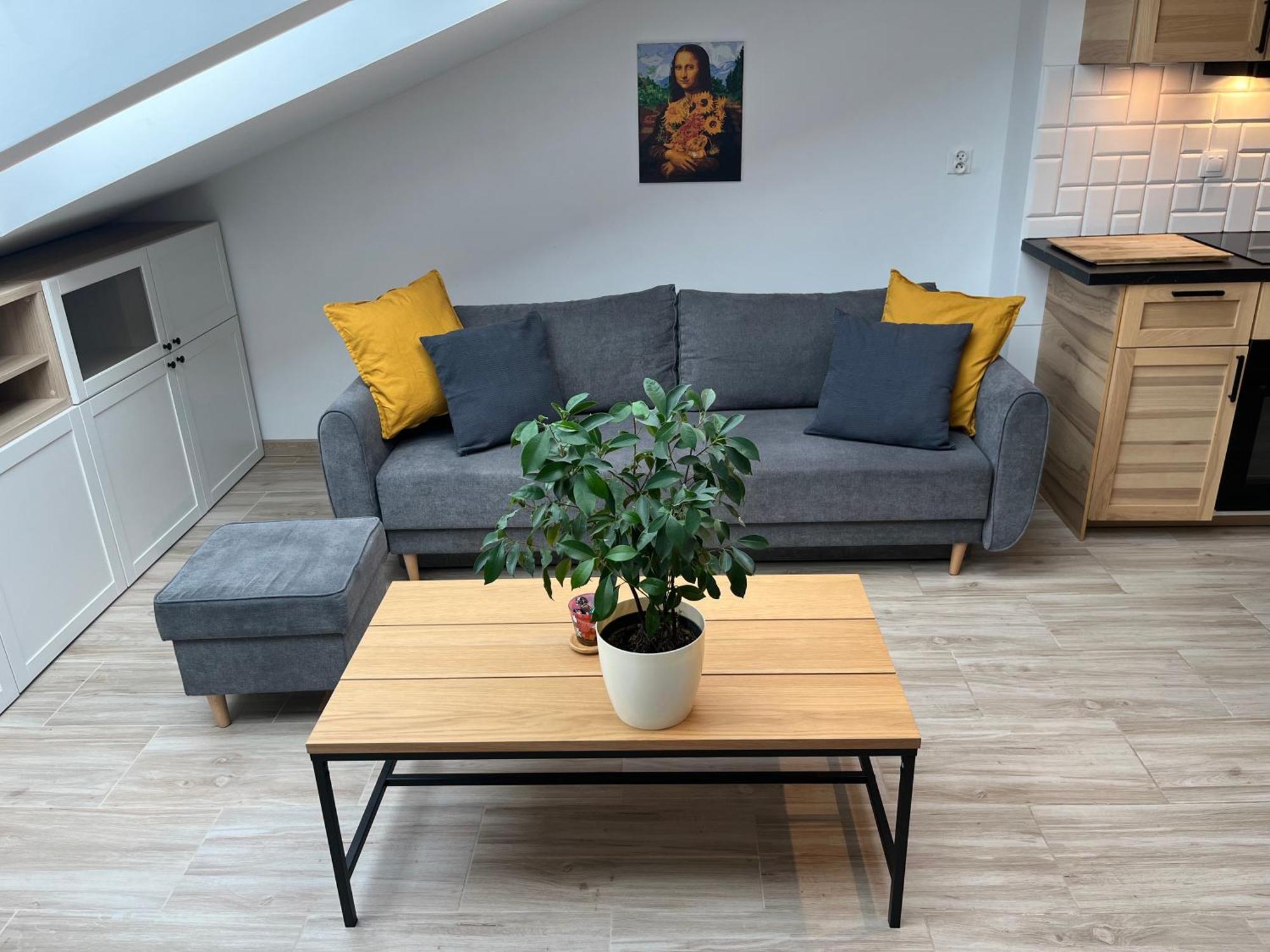 Feelhome Apartment With Kitchen Cracovie Extérieur photo